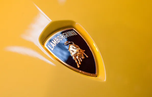 Picture macro, Lamborghini, the hood, emblem