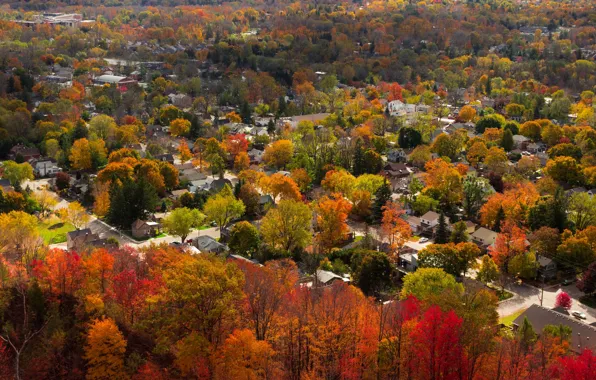 Picture autumn, trees, home, Canada, Ontario