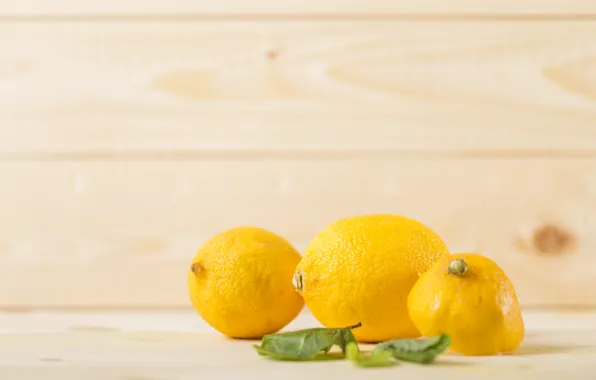 Picture leaves, Lemon, citrus