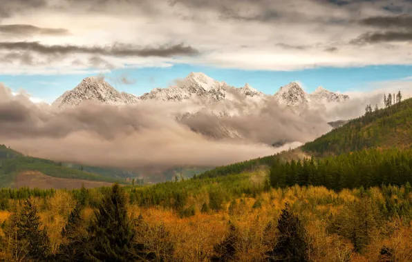 Picture autumn, forest, clouds, mountains, fog, forest