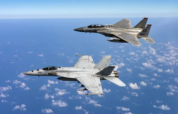 Picture fighters, FA-18E Super Hornet, F-15D Eagle