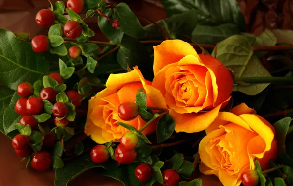 Picture orange, berries, roses