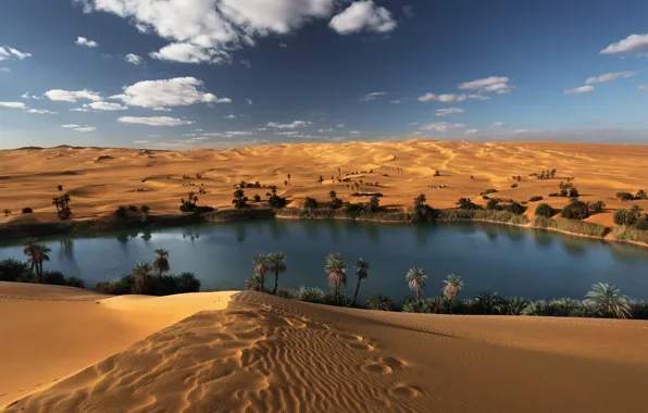 Picture sand, lake, desert, oasis, Sahara