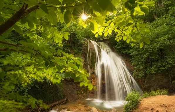 Picture leaves, water, the sun, trees, waterfall