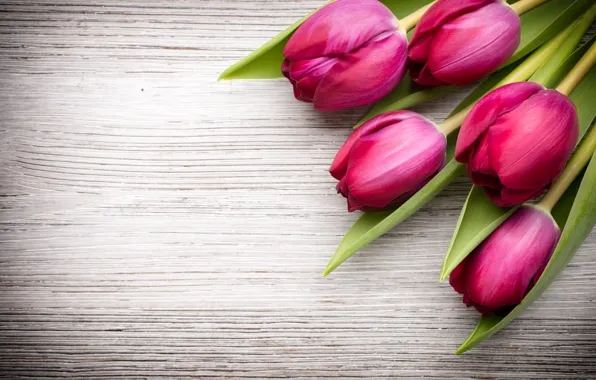 Picture flowers, bouquet, fresh, wood, pink, flowers, beautiful, tulips, pink tulips