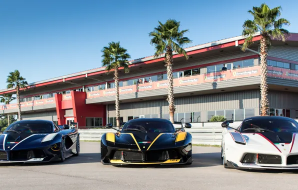 Picture Ferrari, Blue, Black, White, Italia, LaFerrari, FXXK