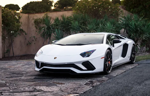 Picture Lamborghini, White, Aventador