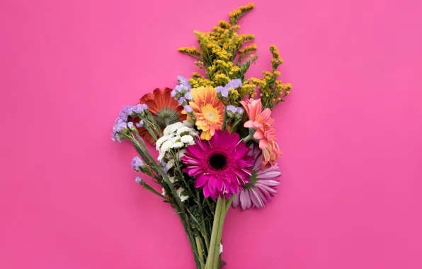 Picture flowers, background, bouquet, colorful, pink, gerbera, pink, flowers, spring, gerbera