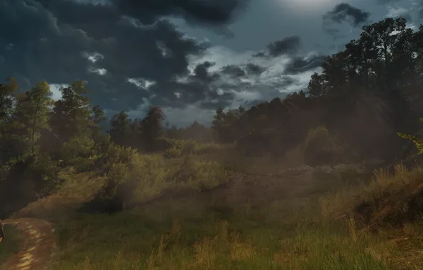 Picture Field, Grass, The Witcher, The Witcher, The Witcher 3 Wild Hunt, The Witcher 3 Wild …