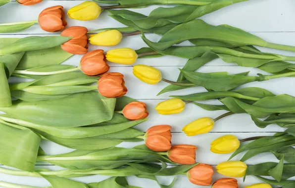 Picture tulips, yellow, wood, tulips, orange, decor