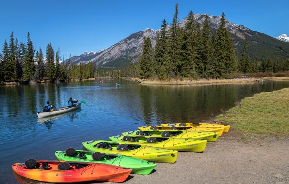Picture forest, trees, mountains, river, boats, Canada, Albert, Banff National Park, Canoeing, tourists, Banff, Bow River