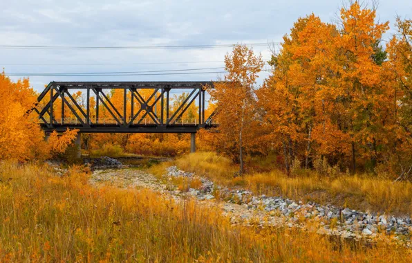 Picture autumn, trees, bridge, Canada