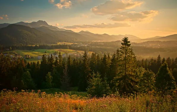 Picture forest, the sky, the sun, clouds, trees, mountains, field, home, valley, Poland, Zakopane