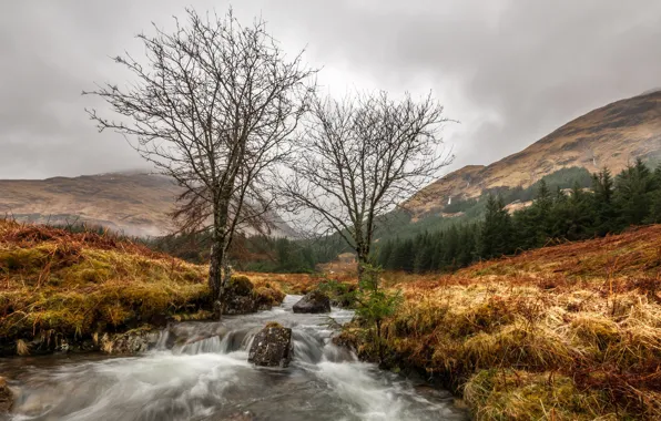 Picture autumn, trees, mountains, river, stones, Scotland