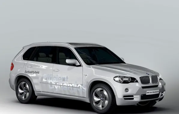 Picture BMW, hybrid, crossover, X5