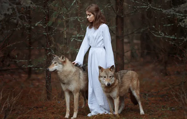 Picture forest, girl, wolves, Svetlana Nicotine