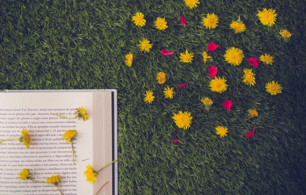 Picture grass, flowers, petals, book, page