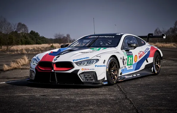 Picture racing car, 2018, Motorsport, GTE, BMW M8