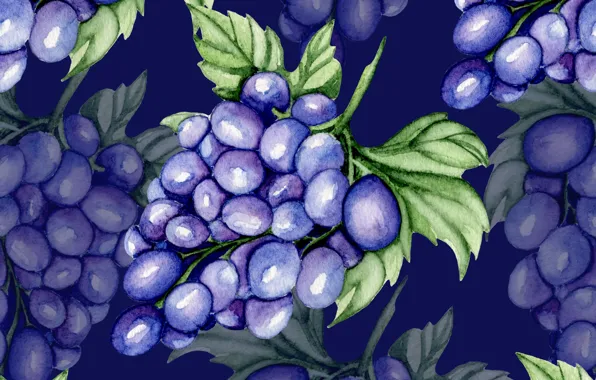 Picture background, texture, grapes, brush