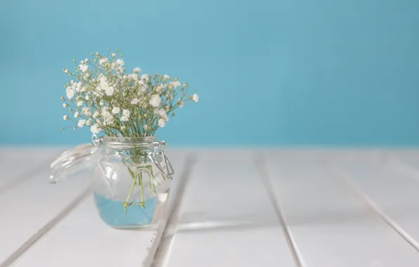 Picture flowers, bouquet, vase, white, with, flowers, vase