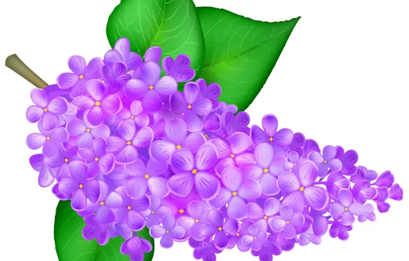 Picture leaves, lilac, vector graphics