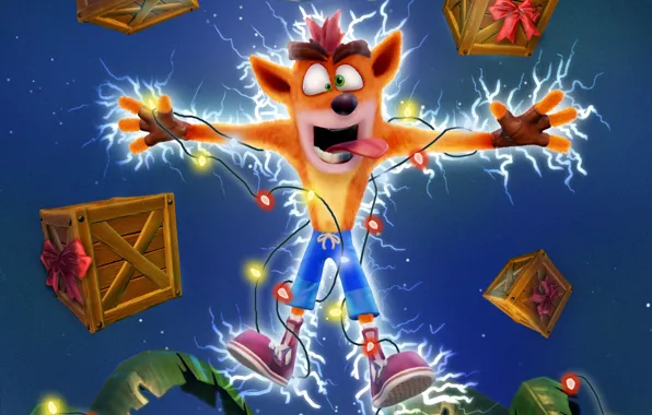 Picture Game, Activision, Holiday Card, Crash Bandicoot N. Sane Trilogy