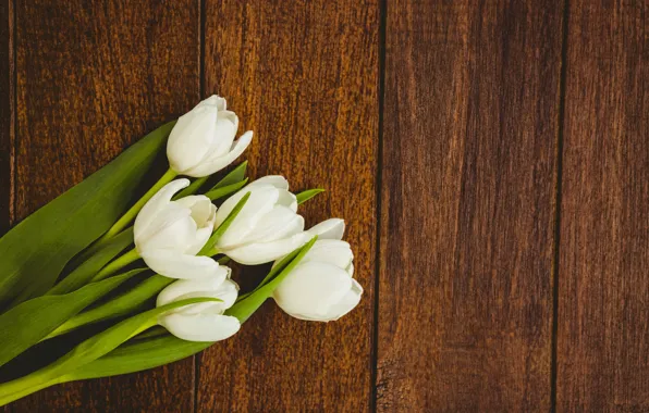 Picture flowers, bouquet, tulips, white, white, wood, flowers, tulips, spring