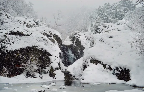 Picture Winter, Waterfall, Snow, Frost, Blizzard, Winter, Frost, Snow, Waterfall, Blizzard