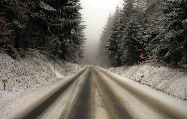 Picture winter, road, forest, landscape, nature, the darkness