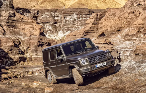 Picture movement, Mercedes-Benz, SUV, brown, breed, 2018, G-Class, quarry
