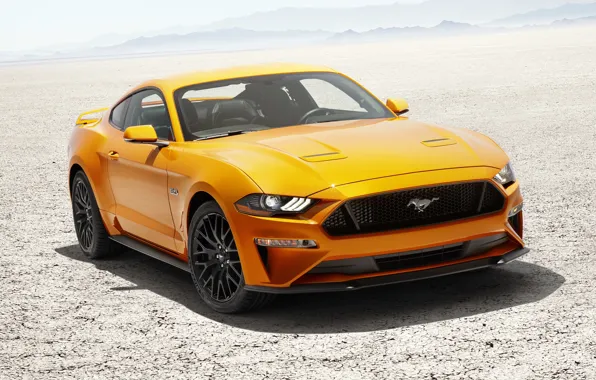 Picture Mustang, Ford, Fastback, Desert, 2017, V8
