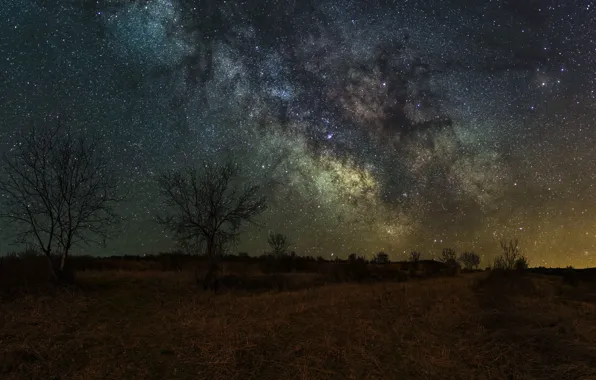 Picture field, stars, night, the milky way