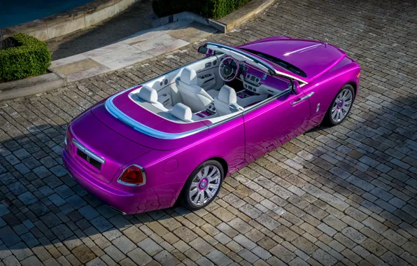 Picture auto, pink, shadow, Rolls-Royce, salon, Cabriolet, chic, Fuxia