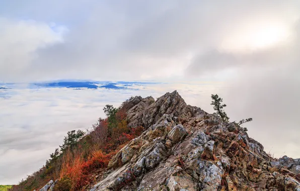 Picture the sky, fog, mountain