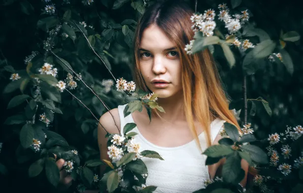 Picture look, girl, branches, face, hair, portrait, flowering, flowers, Andrei Zhirnov