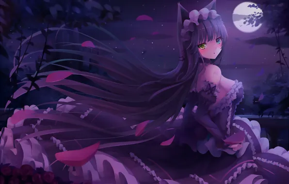 Picture girl, night, the moon, anime