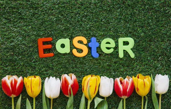 Picture Flowers, Tulips, Easter, Letters, Weed, Holiday