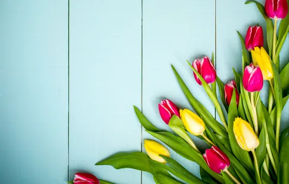 Picture flowers, spring, colorful, tulips, yellow, wood, pink, flowers, tulips, spring