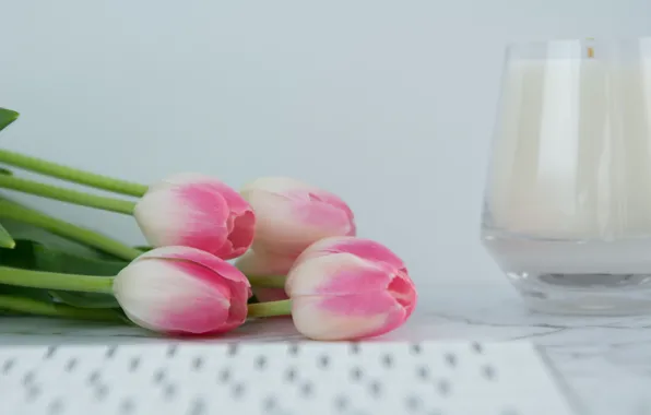 Picture candle, tulips, keyboard, pink, flowers, tulips, tender