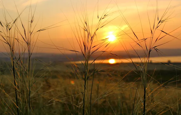 Picture sunset, lake, Khakassia, Shira