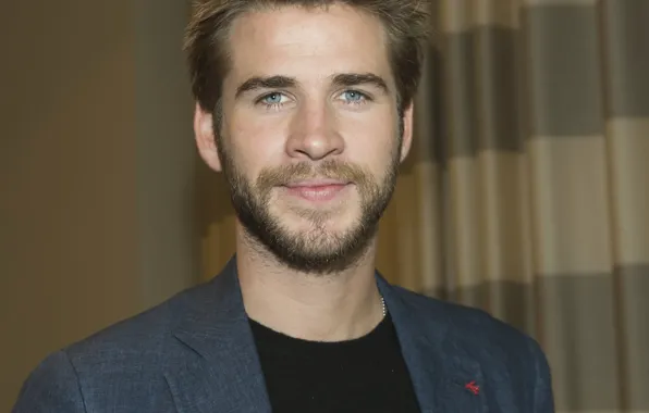 Picture Liam Hemsworth, Liam Hemsworth, at a press conference