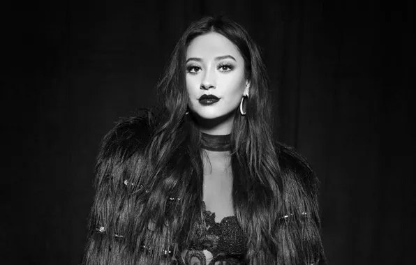 Picture actress, black and white, Shay Mitchell