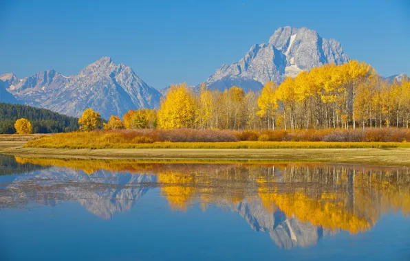 Picture autumn, trees, mountains, lake, reflection, Wyoming, USA, Grand Teton