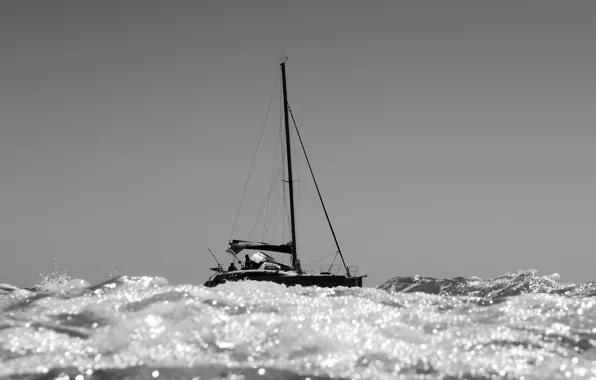 Picture sea, sailing, catamaran