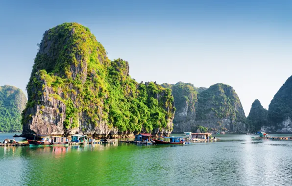 Picture Nature, Rock, Rock, Vietnam, Bay, Halong Bay, Piers