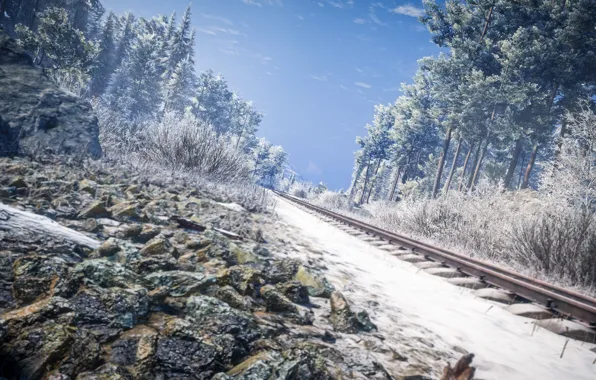 Picture winter, landscape, rails, The Hunter