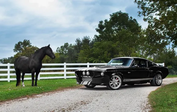 Picture Muscle, 1968, Horse, Ford Mustang Shelby GT 500CR
