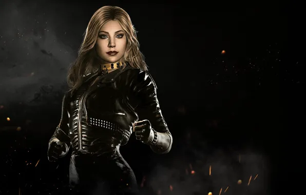 Picture game, fighting, Black Canary, NetherRealm Studios, Injustice 2, Dinah Laurel Lance
