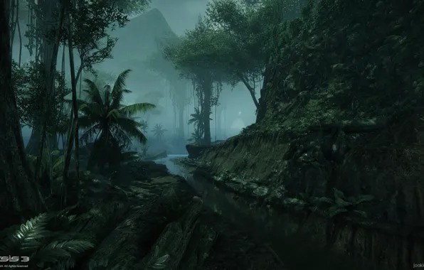 Picture mountains, jungle, channel, Crysis 3 MP DLC, Crossing