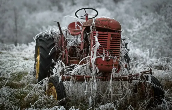 Picture frost, nature, tractor